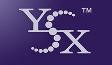 YSX